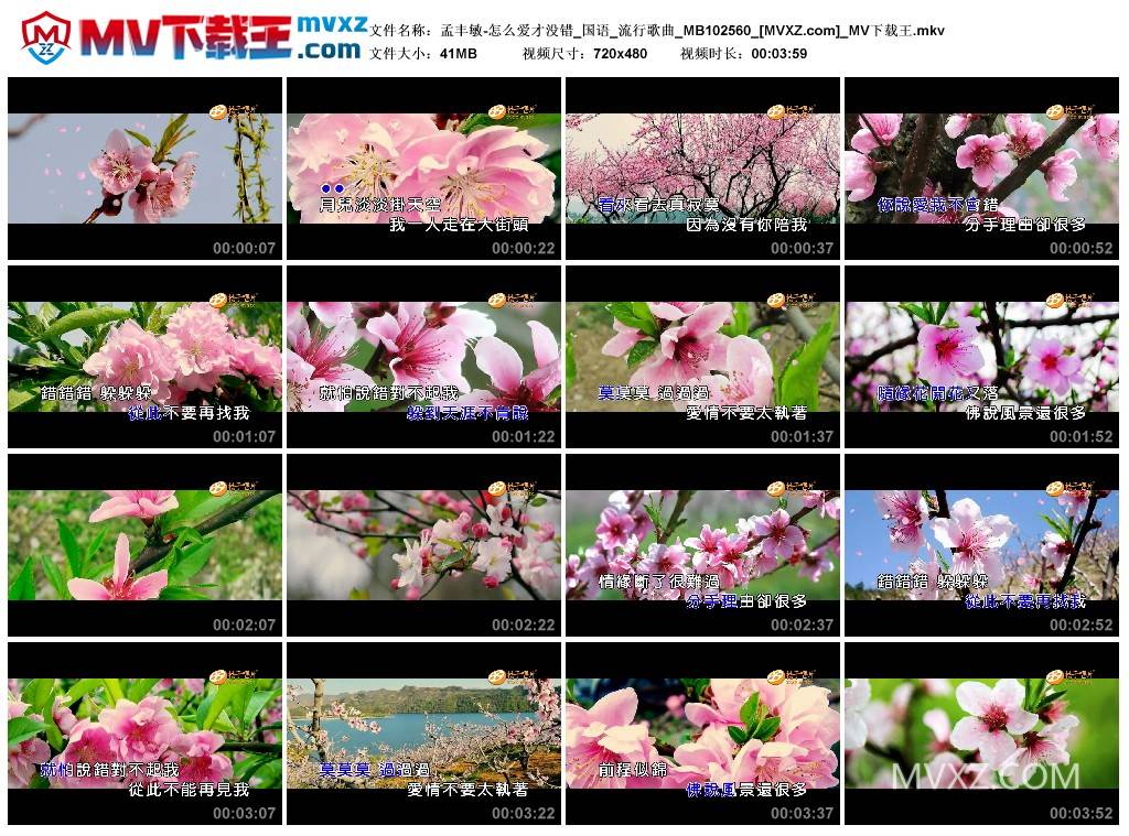 孟丰敏-怎么爱才没错_国语_流行歌曲_MB102560